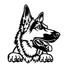 Fototapeta premium German Shepherd Dog - Peeking Dog Breed - Pet Dog Vector Portrait, Dog Silhouette Stencil