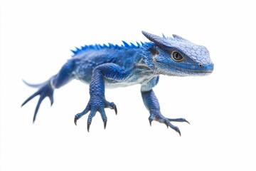 Naklejka premium Blue lizard with horns on white background.