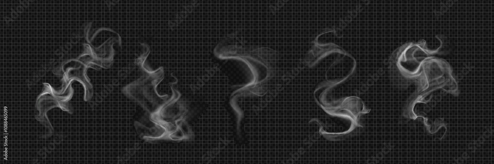 Canvas Prints white realistic smoke elements flowing on dark background. translucent curving steam shapes with mys