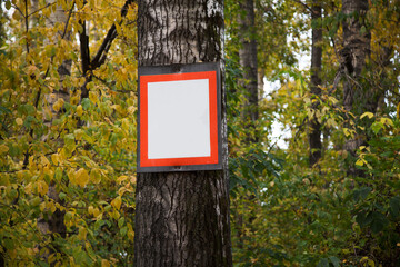 a sign for announcements hangs on a large tree in the forest
