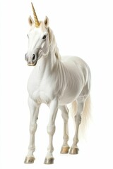 Obraz premium White horse with gold horn stands isolated.