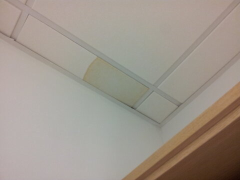 Manchas de humedas en escayola