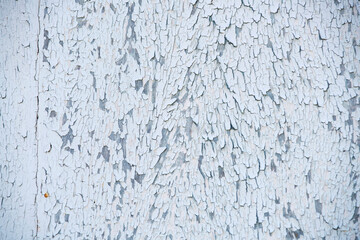 Textured Surface of Peeling Blue Paint on Weathered Wood Background with Subtle Variations, Capturing Depth and Detail in Deterioration and Ageing Aesthetics