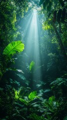 Exploring the wonders of sustainability in lush rainforests nature's sanctuary environmental conservation tropical ecosystem aerial view biodiversity preservation