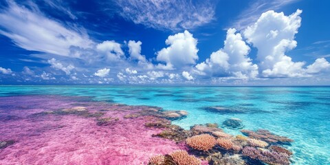 Vibrant pink coral reef lagoon under a blue sky, showcasing the natural beauty of an atoll with clouds framing the scene, perfect for capturing the essence of tropical paradise.