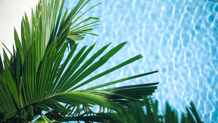 Top view of palm leaves against a background of turquoise water at a swimming pool. Vacation and travel concept. © wedmoments.stock