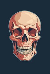 realistic human skull vector illustration