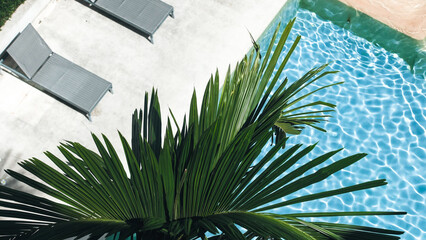 Top view of palm leaves against a background of turquoise water at a swimming pool. Vacation and travel concept. © wedmoments.stock