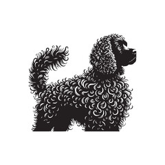 American Spaniel Vector - Illustration Of American Spaniel - Minimalist American Spaniel Silhouette..