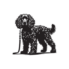 American Spaniel Vector - Illustration Of American Spaniel - Minimalist American Spaniel Silhouette..