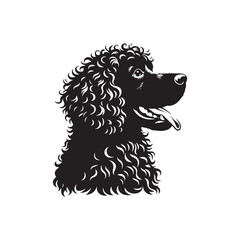 American Spaniel Vector - Illustration Of American Spaniel - Minimalist American Spaniel Silhouette..