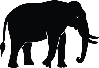 Fototapeta premium elephant black silhouette isolated vector art Illustration with white background 