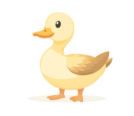 Duck, a simple flat illustration with a white background 