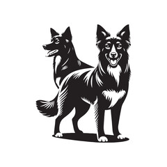 Australian Kelpie Silhouette - Australian Kelpie Vector - Illustration of Australian Kelpie.