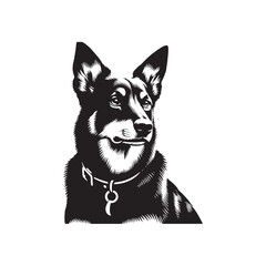 Australian Kelpie Silhouette - Australian Kelpie Vector - Illustration of Australian Kelpie.