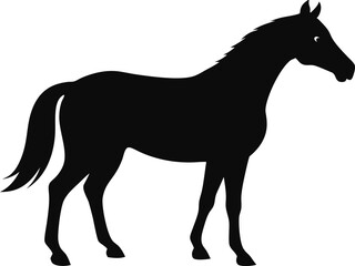 Obraz premium horse black silhouette isolated vector art Illustration with white background 