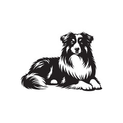 Australian Shepherd Dog Silhouette - Australian Shepherd Dog Illustration - Vector of Dog.