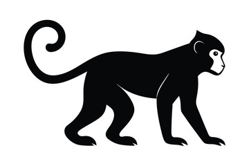 Obraz premium monkey black silhouette isolated vector art Illustration with white background