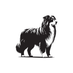 Australian Shepherd Dog Silhouette - Australian Shepherd Dog Illustration - Vector of Dog.