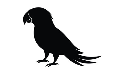 Fototapeta premium parrot black silhouette isolated vector art Illustration with white background