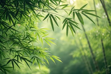 Bamboo leaves tranquil forest nature lush environment close-up view serenity