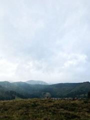 Scenic mountain landscape with cloudy sky and vast horizon
