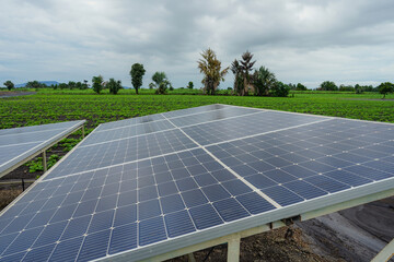 Solar panels for irrigation systems in farm.