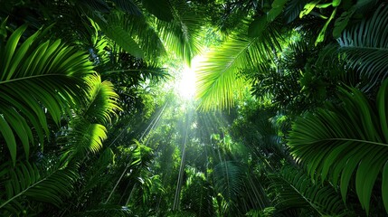 Obraz premium Lush Tropical Canopy with Sunlight Streaming Through Leaves, Creating a Serene Atmosphere in a Vibrant Green Jungle Setting