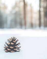 close up of snow covered pine cone resting on snowy surface, surrounded by serene winter forest. soft light creates tranquil atmosphere