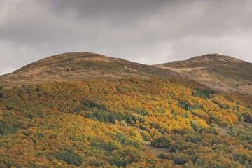 Fall Foliage in the Heart of Bieszczady mountains in Poland