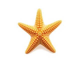 Orange Starfish Close-Up: A Detailed 3D Render. AI Generated