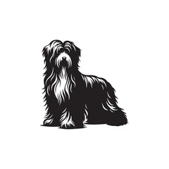 Bearded Collie Silhouette - Bearded Collie Dog Vector - Dog Vector - Dog Silhouette.