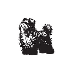 Bearded Collie Silhouette - Bearded Collie Dog Vector - Dog Vector - Dog Silhouette.