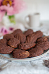 sweet home made Chocolate cookies Madeleine 