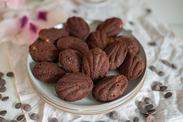 sweet home made Chocolate cookies Madeleine 