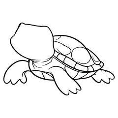 Turtle in Perspective Line Art with Detailed Shell