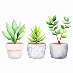 Fototapeta premium A vibrant watercolor illustration of three potted plants, showcasing various green foliage in decorative pots.