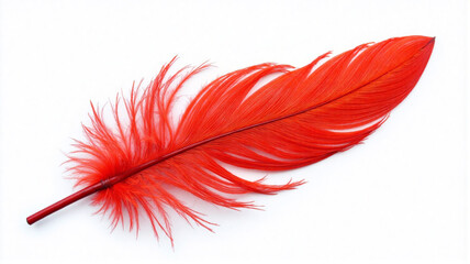 red feather isolated on white