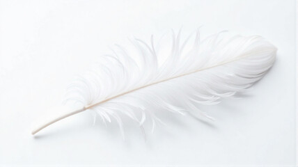 white feather