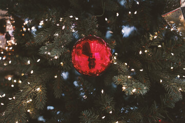 Photos of winter Christmas tree ornaments