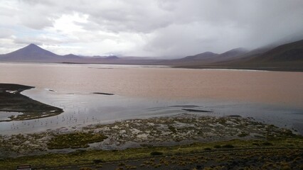 Laguna Colorada