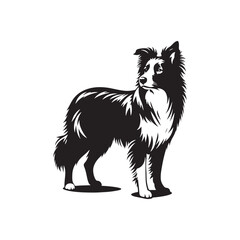 Border Collie Silhouette - Border Collie Vector - Border Collie Dog Illustration.