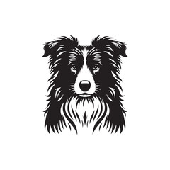 Border Collie Silhouette - Border Collie Vector - Border Collie Dog Illustration.