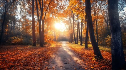 Fototapeta premium Autumn Path Sunset