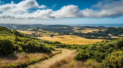 Obraz premium Coastal Landscape Dirt Road