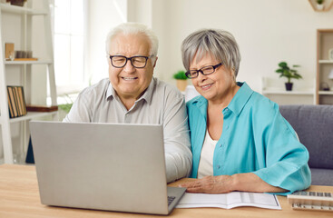 Positive elderly family couple using a laptop to manage bills, invoices, and investments at home. They focus on organizing finances, pension, and debt, ensuring proper handling of money.