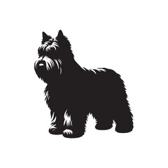 Bouvier des Flandres Vector - Bouvier des Flandres Illustration - Dog Vector.