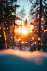 Golden Hour Magic Winter Sunset Through Snowy Pine Forest with Bokeh, Nature Background