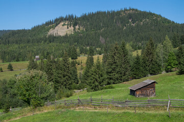 Pradera en la regi&oacute;n de los C&aacute;rpatos en Bucovina, Rumania