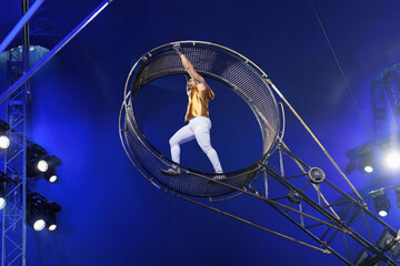Brave male acrobats in the rotating wheel of death perform under the dome of the circus.